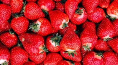 Beneficios de las fresas para la salud