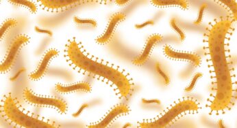Què és el parasitisme?